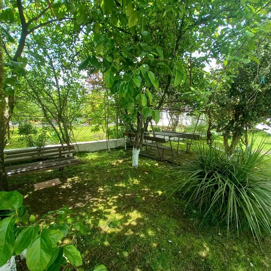 Apartament Dani'S House Kobuleti Zewnętrze zdjęcie